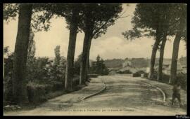 Tarjeta postal de la entrada a Domrémy-la-Pucelle por la ruta de Coussey