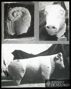Osuna (Sevilla). Esculturas de animales