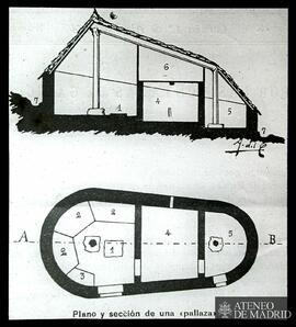 Planta y sección de una palloza