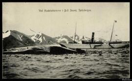 Tarjeta postal de una ballena junto a un barco de vapor en la estación ballenera del estrecho de ...