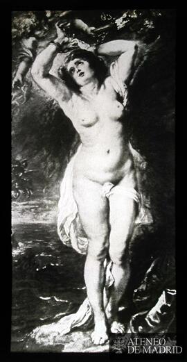 
Madrid. Museo del Prado. Rubens, Peter Paul: " Andrómeda" (Copia)

