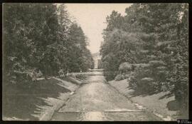 Tarjeta postal del Parque junto al Río Oos en Baden-Baden editada por el Verlag von Emil Hartmann