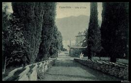 Tarjeta postal de un tramo de una avenida de acceso a la Villa d’Este en Cernobbio junto al Lago ...