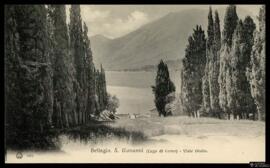 Tarjeta postal del Viale Giulio de San Giovanni en Bellagio junto al Lago di Como editada por Bru...