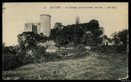 Tarjeta postal de vista de conjunto de la fachada sur del Castillo de Falaise editada por los Neu...