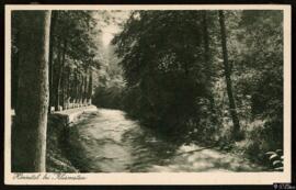 Tarjeta postal del paisaje kárstico Hönnetal en la región montañosa de Sauerland editada por el P...