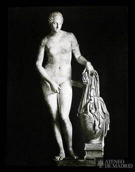 8611 [n.º 8 corr. a mano y sustituido por un 5].  Afrodita de Gnido, por Praxiteles. Museo de la ...
