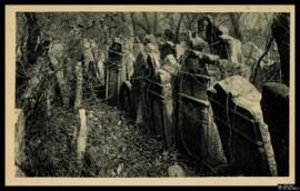 Tarjeta postal del Cementerio Judío o Židovský hřbitov de Praga con dirección al verso de la Ofic...