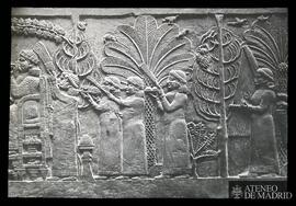 Asurbanipal con su esposa celebrando un banquete triunfal en el jardín. Mitad izquierda. Relieve ...