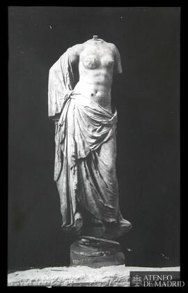 Zaragoza. Museo Provincial. Escultura de Venus