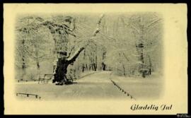 Tarjeta postal circulada de paisaje invernal con felicitación navideña editada por el F. D. B. Pa...