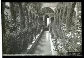 
Granada. Los jardines del Generalife de La Alhambra
