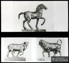 Berlín. Kaiser Friedrich - Museum. Esculturas de caballo, bisonte y toro