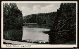 Tarjeta postal circulada de paisaje de la zona lacustre Spiegeltaler Teich junto a la ciudad de C...