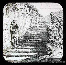 
Treppenaufgang zum Palast [Escalera del burgo de Tirinto ?]
