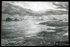 
Vista ideal de la tierra durante el periodo siluriano, grabado por Edouard Riou
