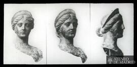 Busto de mujer (frente, perfil y ladeado)