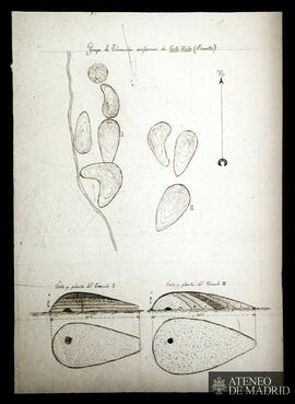 Porto Roibo (Puentes). Cortes y plantas de un grupo de túmulos oviformes . (Dibujo de Federico Ma...