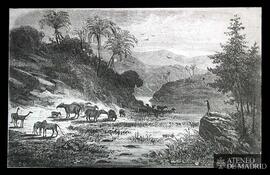 
Vista ideal de la tierra durante el periodo eoceno, grabado por Edouard Riou
