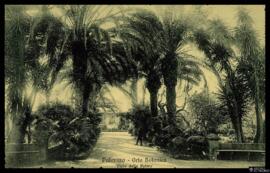 Tarjeta postal del Paseo de las Palmeras o Viale delle Palme en el Jardín Botánico de Palermo