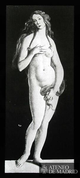 
Berlín. Gemaldegalerie Staatliche Museen. Escuela de Sandro Botticelli: "Venus"
