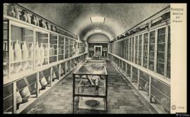 Tarjeta postal [de heliograbado] de vista interior del Antiquarium o Museo de Pompeya editada por...