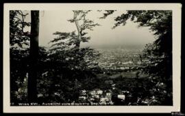 Tarjeta postal circulada de vista panorámica desde Heuberg hacia Viena remitida a la Frau Emilie ...