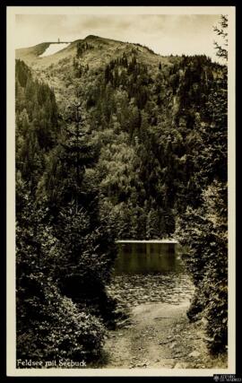 Tarjeta postal de paisaje montañoso en Feldberg en la Selva Negra editada por Mayer & Schladerer