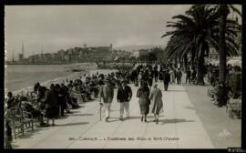 Tarjeta postal de escena costumbrista urbana de paseo en la Esplanade des Alliés de Cannes editad...