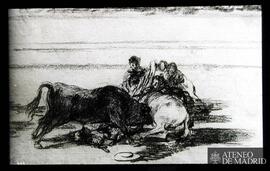 Madrid. Museo del Prado. Goya, Francisco de: "Caída de un picador de su caballo debajo del t...
