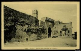 Tarjeta postal de vista exterior de la entrada al Château de l'Empéri en Salon-de-Provence editad...