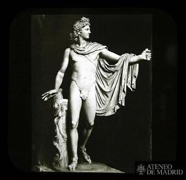 5226 [n.º corr. a mano y sustituido por 5657]. Apolo de Belvedere. Museo del Vaticano