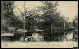 Tarjeta postal del paisaje de la Mare de Franchard y el Forêt de Fontainebleau editada por A. Sir...