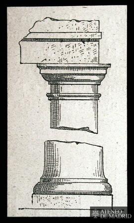 Capitel y basa de una columna dórica romana