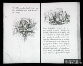 Páginas 32 y 33 de un libro, ilustradas con grabados